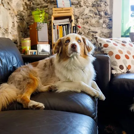 Couette-café Arvé Castelbianco - E