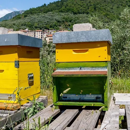 Arvé Castelbianco - E Couette-café