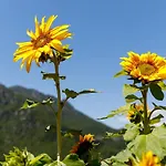 Arvé Castelbianco - E Colletta
