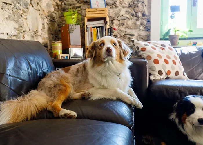 Bed and breakfast Arvé Castelbianco - E