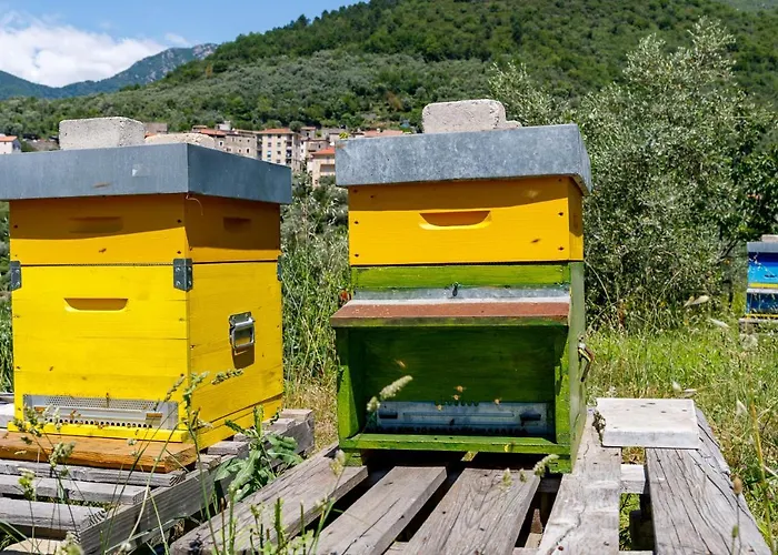 Arvé Castelbianco - E Bed and breakfast